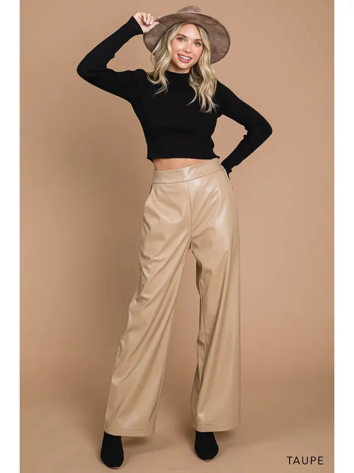 Dally Wide Leather Pants